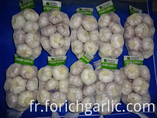 Crop 2019 Normal White Garlic